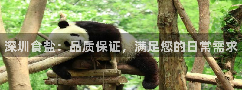 威九国际里的长头发帅哥名字