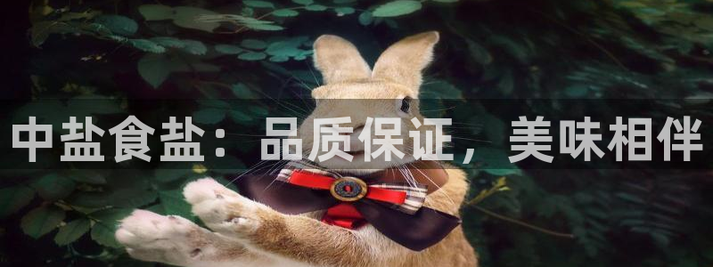 威九国际官网在线进入网站查询