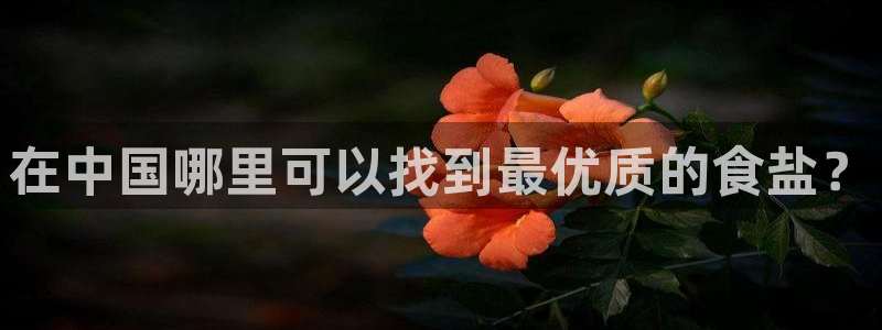 威九国际可以提现吗