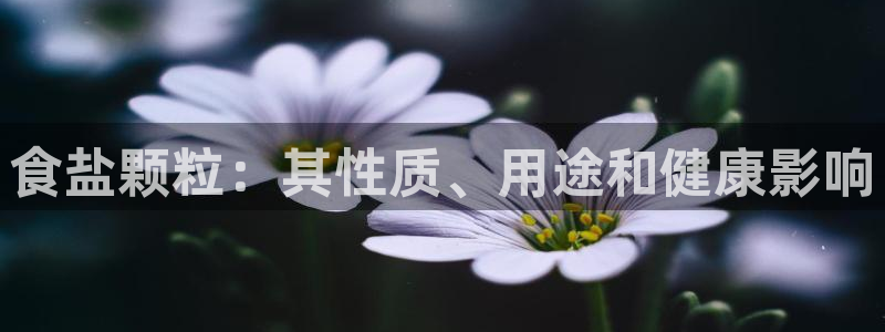 威九国际免费版