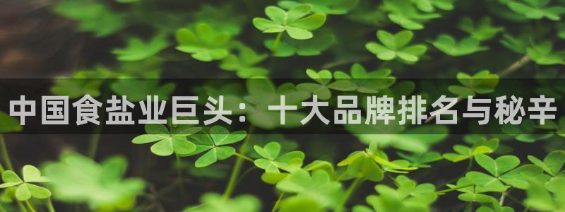 威九国际78m