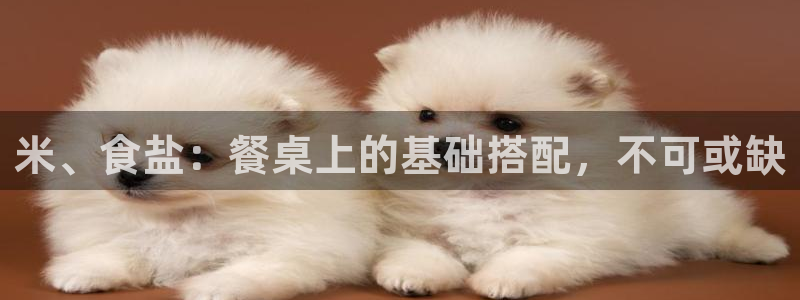 威九国际旗下艺人