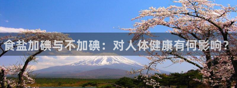 威九国际旗下艺人都有谁