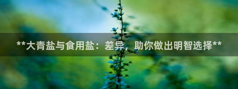 78mapp威九国际成长视频