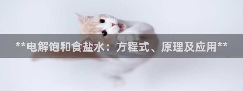 威九国际第一页