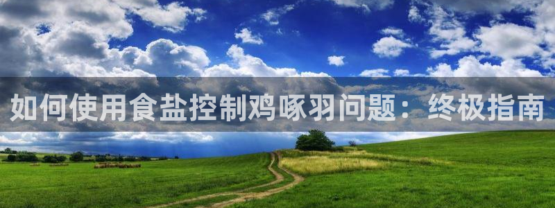 威九国际官网登录入口