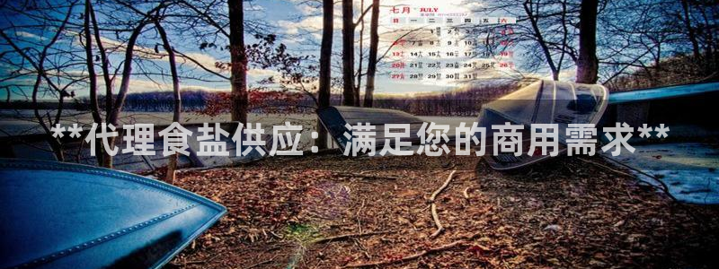 保定威九网络科技有限公司