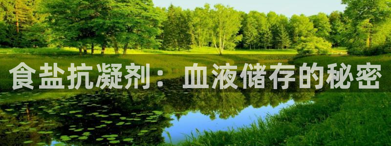 威九国际的金融服务有哪些