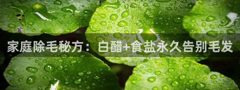 威九国际网站为什么不禁止