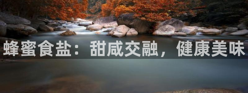 威九国际官网登录入口网站