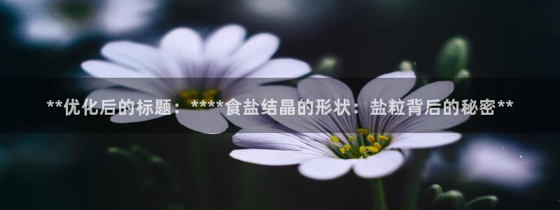 威九国际网站入口官网游戏推荐