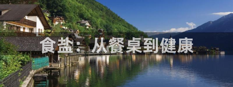 保定威九网络科技有限公司