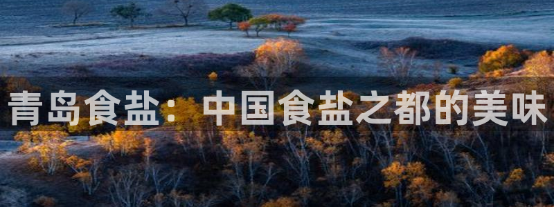 威九国际取款多到账