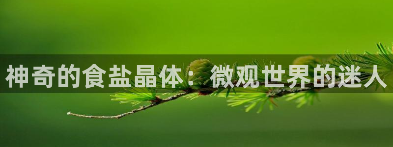威九国际特殊奖励我的奖励竟然是嫂子