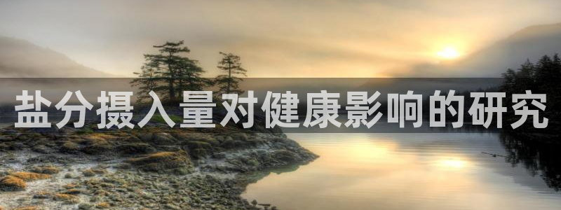 威九国际的演员