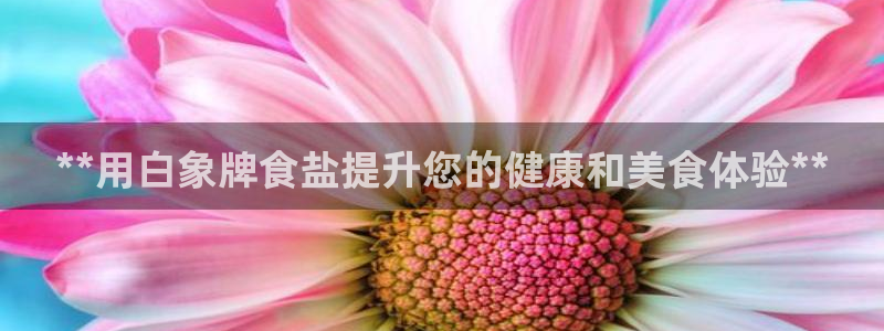 威九国际动漫