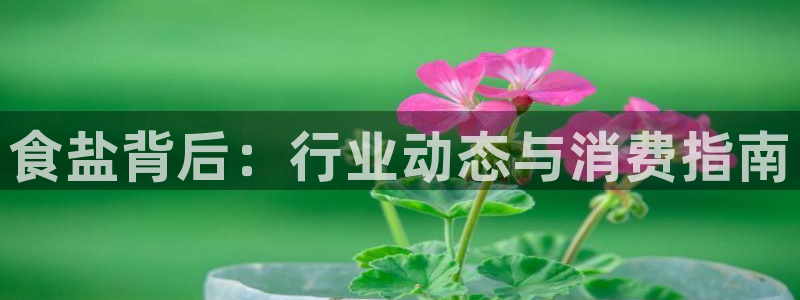 威九国际狂飚电影