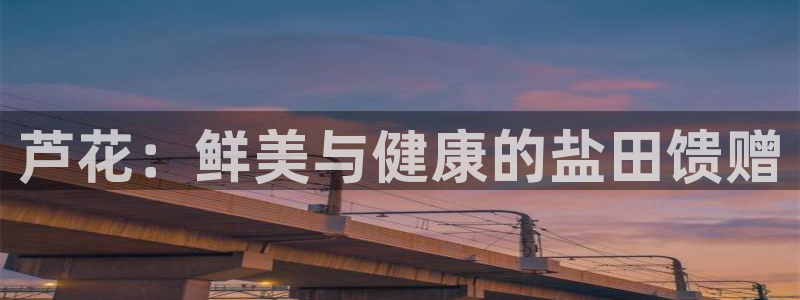 威九国际精选酒店地址