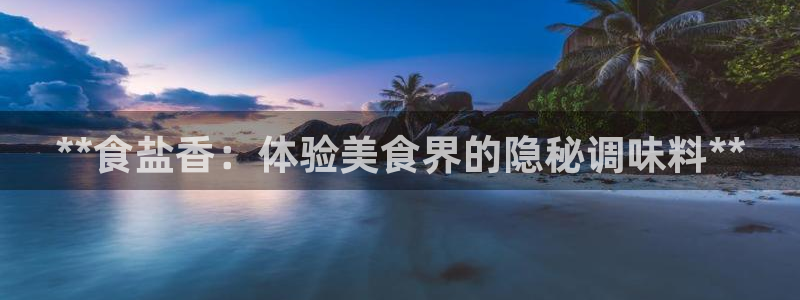 保定威九网络科技有限公司怎么样