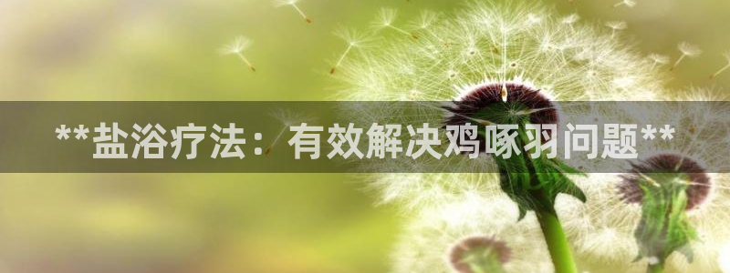 威九国际78mb