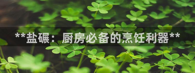 威九国际黄威尼斯