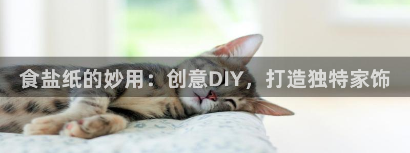 威九国际网站进入(中国)有限公司-官网