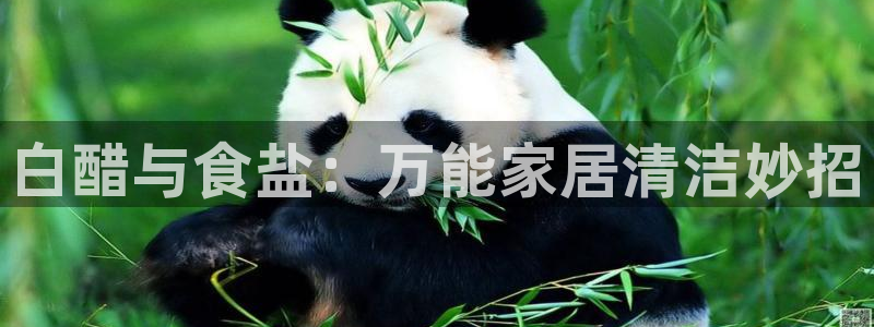 威九国际网站安全吗
