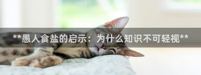 威九国际app入口在哪