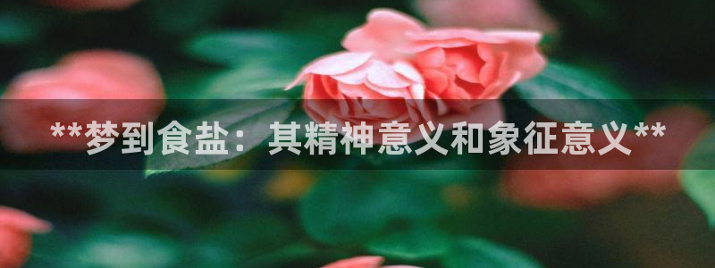 威九国际网站