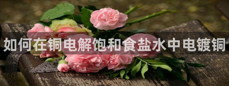 威九国际热舞