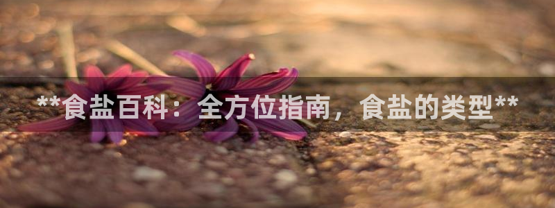 保定威九网络科技有限公司招聘