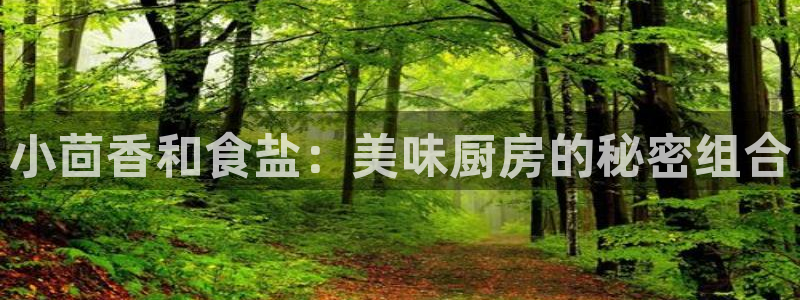 威九国际国精彩片段