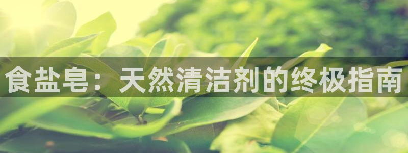 威九国际H