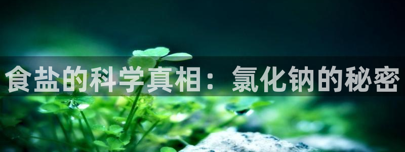 威九国际的女主