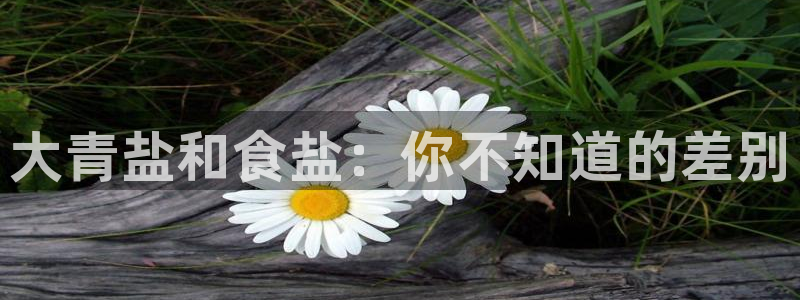 威九国际APP那个地方