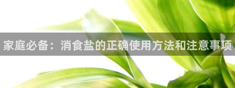 威九国际清砖码头怎么样