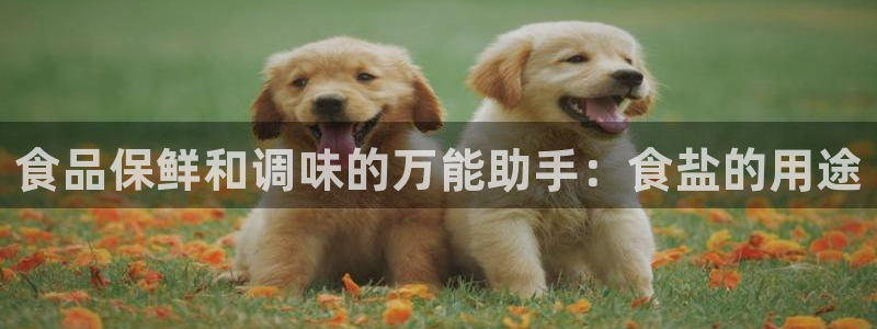 威九国际FF