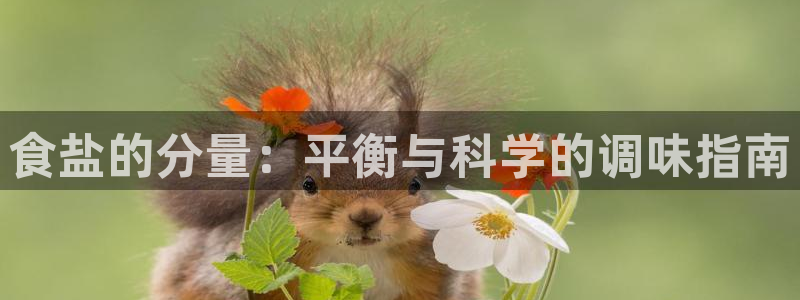 威九国际网站登录