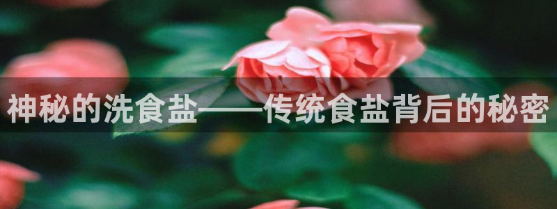 威九国际78m78免费