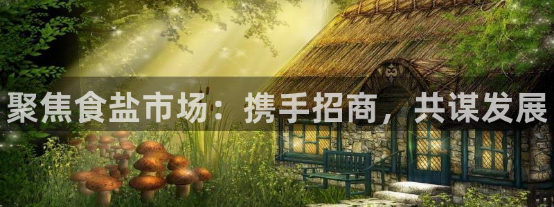 威九国际vA9618