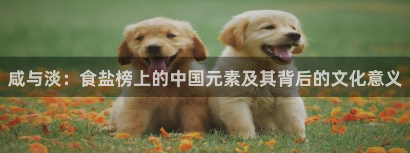 威九国际黑钱