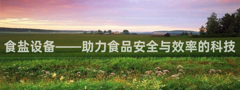 威九国际能提现吗