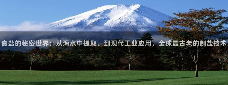 威九国际APP下载