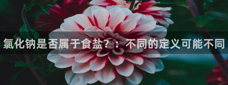 威九国际网站入口地址在哪里
