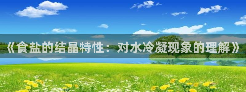 威九国际全国空降