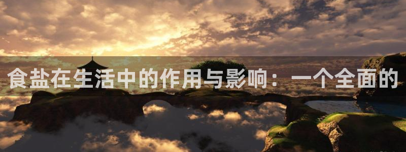 威九国际的金融服务