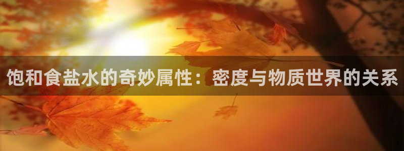 威九国际网站更新