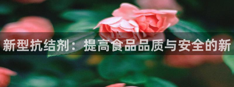 威九国际78m78