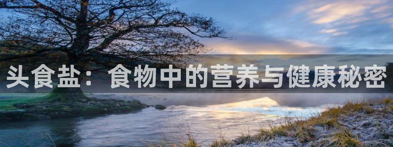 威九国际游戏app网址