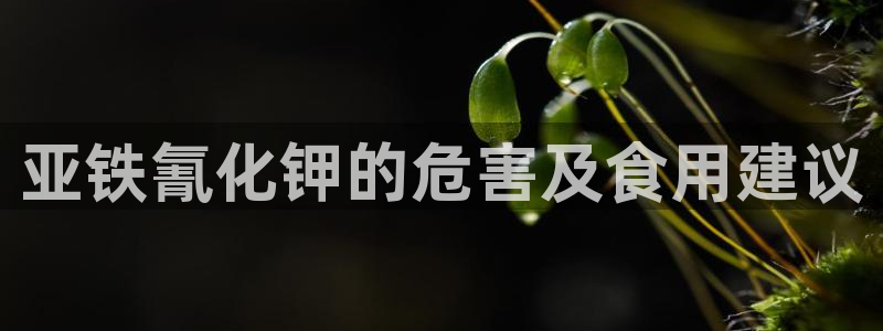 威九国际APP入口